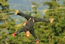 Ziptrek Mammoth Tour